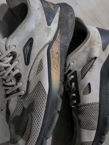 Used Sneakers