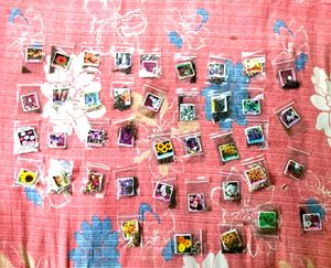 Flower Seeds ( Set Of 30 )