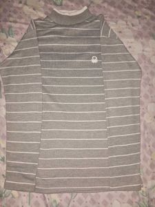 Turtle High Neck Sweater