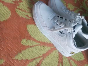 New Without Tag