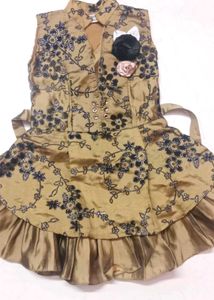 Floral Embroidered Dress