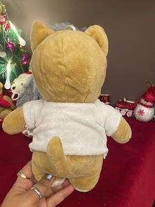 Assorted Plush Toys - Bear, Monkey, More!