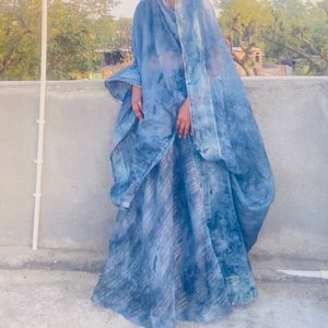 Organza Lahenga Choli