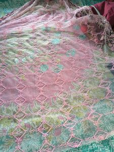 Pink Embroidered Net Dupatta With Brown Touch