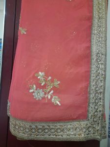 CORAL N GOLDEN NET SAREE