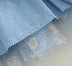 Cute Blue Daisy Dress