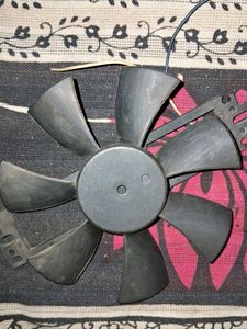 Fan