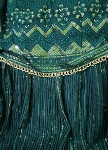 Designer Full Chikankari Sequins Embellished