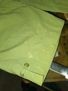 Green Casual 3/4 Shorts