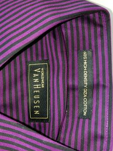 Van Heusen Purple Striped Shirt