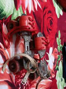 Vintage Roller Skates