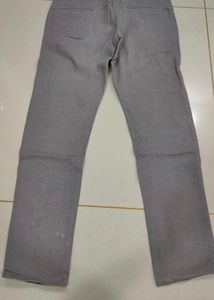 Pant
