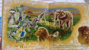 Radha swami Books For Sale Combo Of 3