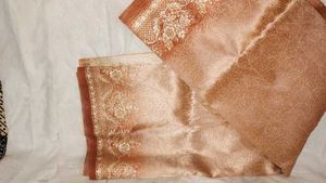 Nude/Golden Organza Saree