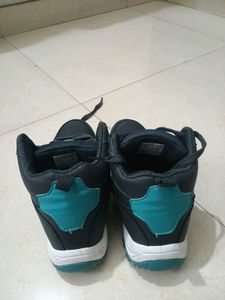 New Shoes Casual