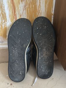 Converse All Star Sneakers