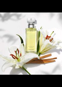 Calvin Klein Perfumes