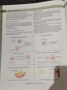 Medical Physiology - Eighth Edition