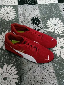 This Shoe is not my Size