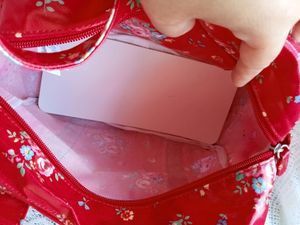 Ladies Handbag