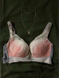 Pink Ombre Bra