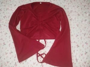 Wine Red Long Sleeve Crop Top