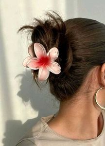 Hair Claw Clutcher Set