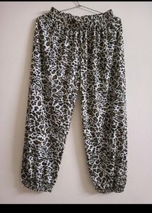 Heram Pant Casual Wear
