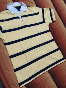 Turtle Brand Men Yellow Striped Casual Polo Tshirt