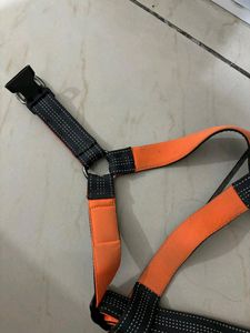 Last Price!!!No Pull Dog Training Leash