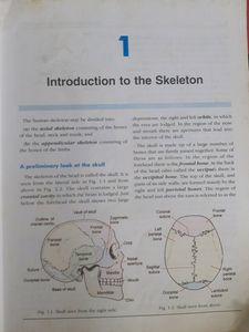 Inderbir Singh Osteology TB For Mbbs