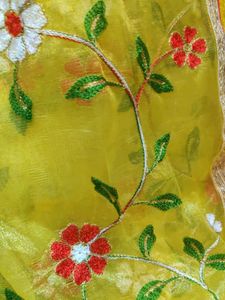 Brand New Organza Saree 10 Years