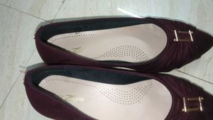 New SHEZONE Bellies