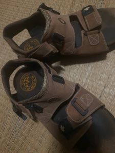 Staffy Sandal (Tan Colour)