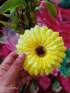 Woman Flower Yellow &amp; Red Clip 💛♥️