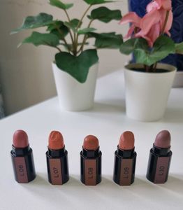 Renee Fab 5 in 1 Nude Lipstick Pen 7.5g