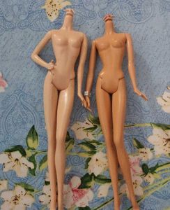 Barbie Doll Model Muse Bodies