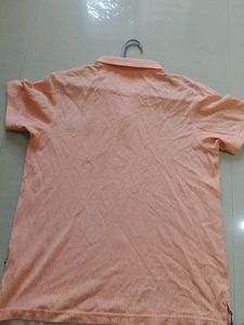 Parx by Raymond Polo Tee