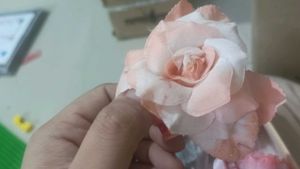 Hair Accessories