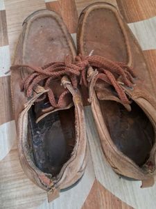 Casual Brown Shoes