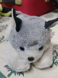 Cute Husky Plush