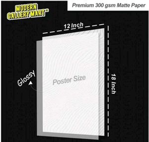 Name: Solo Leveling Anime Wall Poster Set of 4