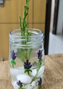 Glass Bottles With Lid