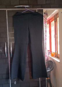 Sassafras Bootcut Trouser For Women