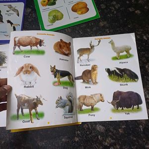 Toddler Books