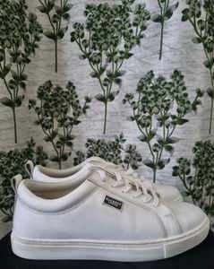 (New) White Leather Sneakers