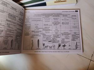 Mind Maps For Neet