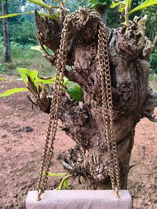 Charles &amp; Keith Handbag