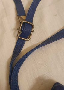 Blue Sling Bag