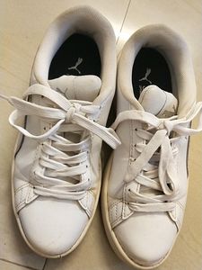 Puma Shoe